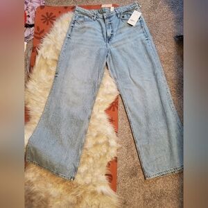 H&M Blue Flare Wide Leg Jeans